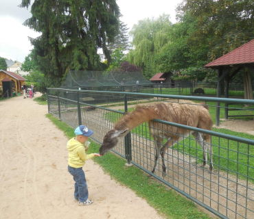 Dvoreček 14.6.2016 Častolovice_II.