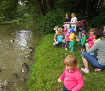 Dvoreček 14.6.2016 Častolovice