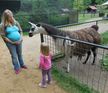 Dvoreček 14.6.2016 Častolovice