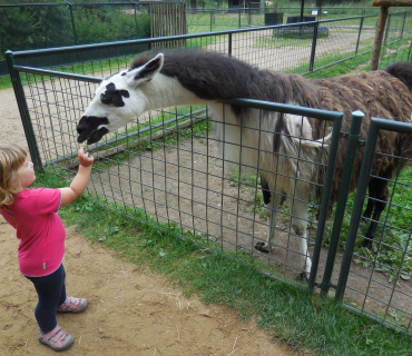 Dvoreček 14.6.2016 Častolovice
