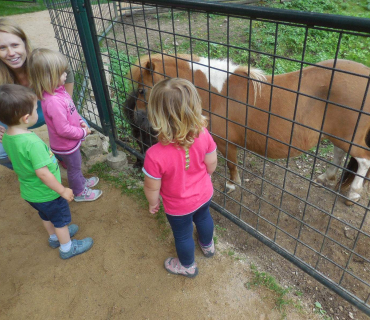 Dvoreček 14.6.2016 Častolovice