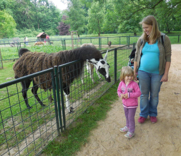 Dvoreček 14.6.2016 Častolovice