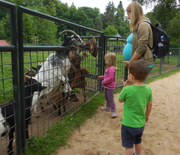 Dvoreček 14.6.2016 Častolovice