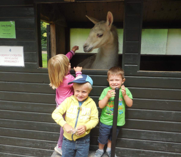 Dvoreček 14.6.2016 Častolovice