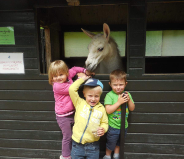 Dvoreček 14.6.2016 Častolovice