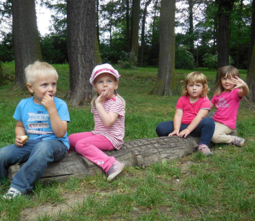 Dvoreček 14.6.2016 Častolovice