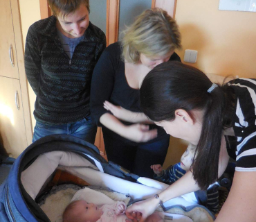 Dvoreček 3.11.2015 krabičky z pedigu