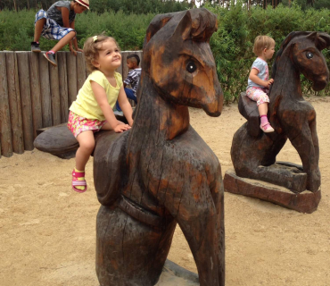 Dvoreček 21.7.2015 Rytířské hradiště