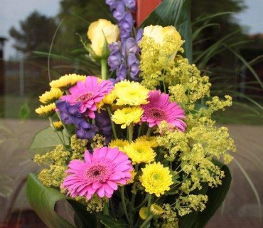 Dvoreček 30.6.2015 Závěrečný