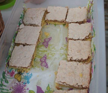 Dvoreček 30.6.2015 Závěrečný