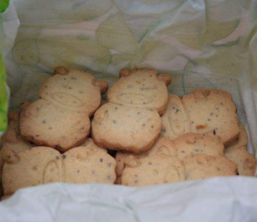 Dvoreček 30.6.2015 Závěrečný