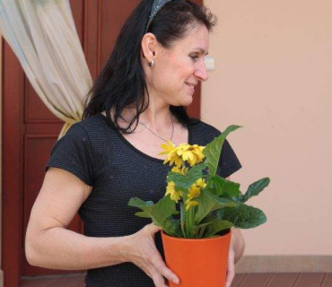 Dvoreček 30.6.2015 Závěrečný