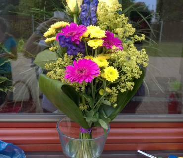 Dvoreček 30.6.2015 Závěrečný