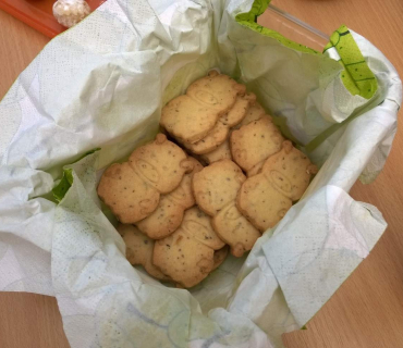 Dvoreček 30.6.2015 Závěrečný