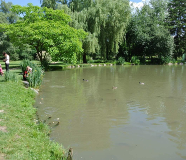 Dvoreček 16.6.2015 Výlet do Častolovic