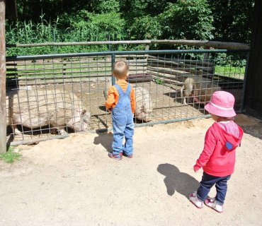 Dvoreček 16.6.2015 Výlet do Častolovic