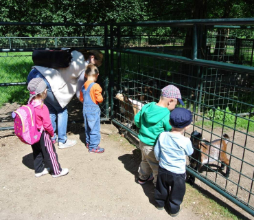 Dvoreček 16.6.2015 Výlet do Častolovic