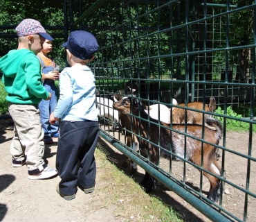 Dvoreček 16.6.2015 Výlet do Častolovic