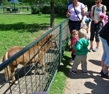 Dvoreček 16.6.2015 Výlet do Častolovic