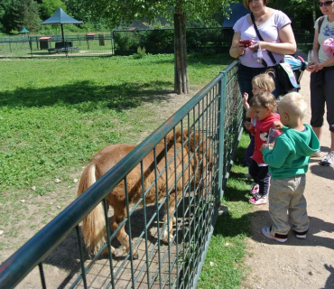 Dvoreček 16.6.2015 Výlet do Častolovic