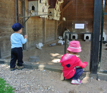 Dvoreček 16.6.2015 Výlet do Častolovic