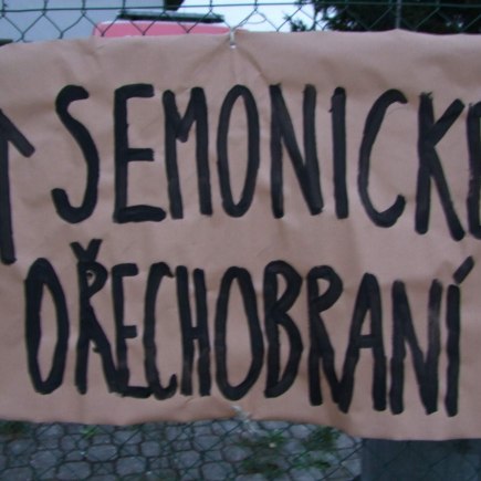 Vystoupení Černilovských Blešek a Blech na Semonickém ořechobraní 7. 9. 2019