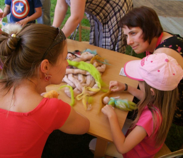 Černilovský dvůr 2019 