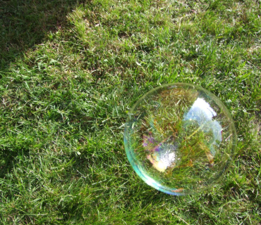 Černilovský dvůr 2019 