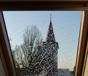 10. Adventní trh v KSD Černilov 30.11. 2018