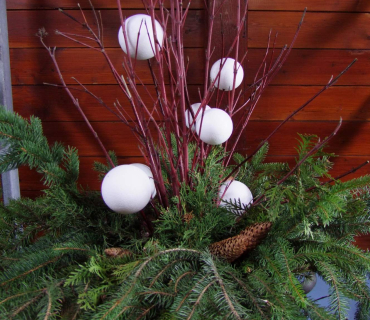 10. Adventní trh v KSD Černilov 30.11. 2018