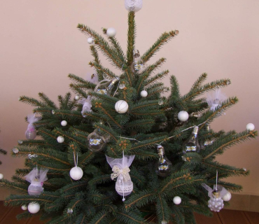 10. Adventní trh v KSD Černilov 30.11. 2018