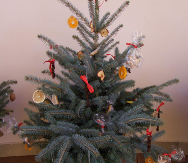 10. Adventní trh v KSD Černilov 30.11. 2018