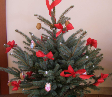 10. Adventní trh v KSD Černilov 30.11. 2018