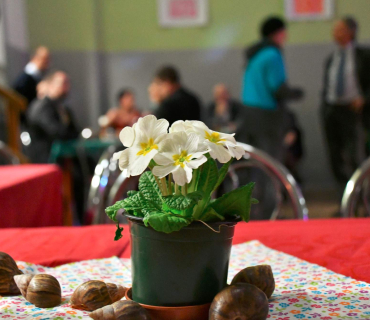 Ples Ulita 28.1.2017