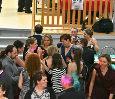 Ples Ulita 28.1.2017