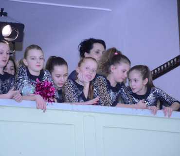 Ples Ulita Černilov 28.1.2017