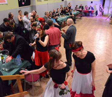 Ples Ulita Černilov 28.1.2017