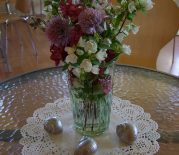 Černilovský dvůr 2015 foto Jana Ž