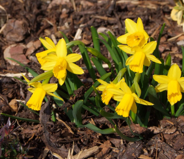 VELIKONOČNÍ JARMARK 27.3. 2015 foto Jana Žárs