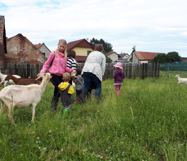 22.6.2020 - návštěva u koziček