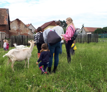 22.6.2020 - návštěva u koziček