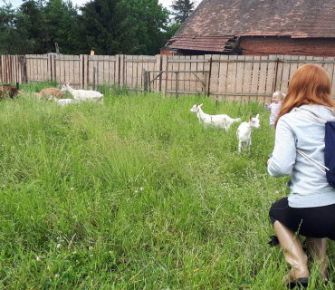 22.6.2020 - návštěva u koziček