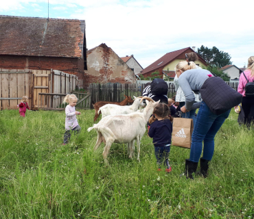 22.6.2020 - návštěva u koziček
