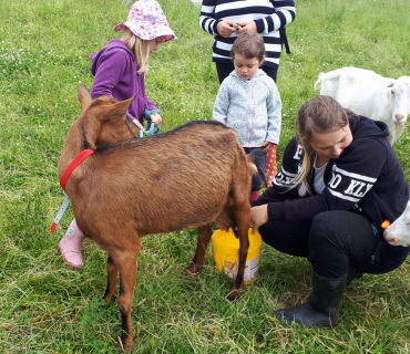 22.6.2020 - návštěva u koziček