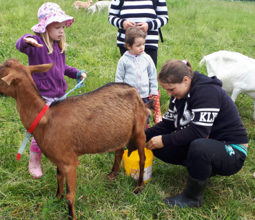 22.6.2020 - návštěva u koziček