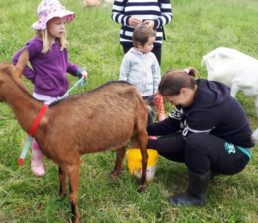 22.6.2020 - návštěva u koziček