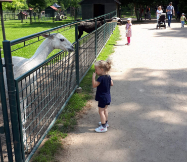 16.6.2020 - výlet do Častolovic