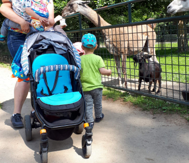 16.6.2020 - výlet do Častolovic