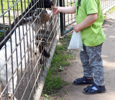 16.6.2020 - výlet do Častolovic