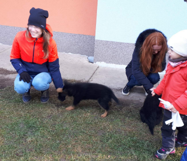 14.1.2020 - štěňátkový Dvoreček